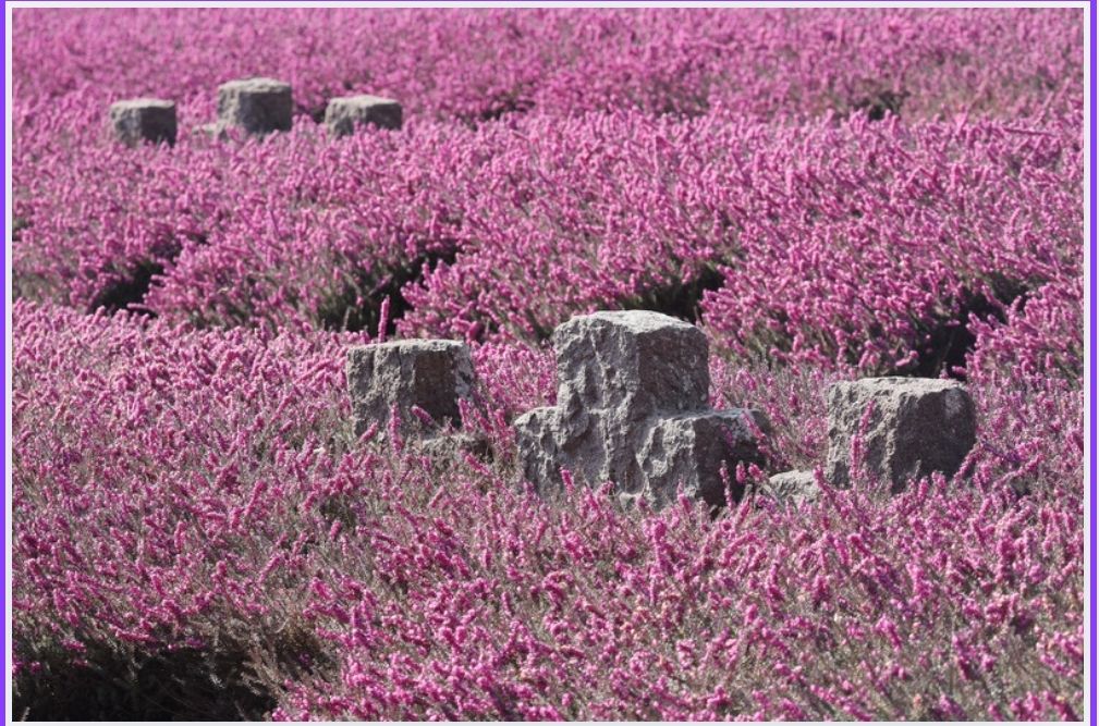 Nel silenzio assordante della guerra ibrida