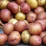 La guerra delle patate: la crisi alimentare che potrebbe scuotere il potere di Putin